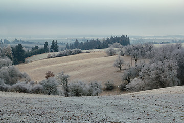 Image showing overcast frozen landscape