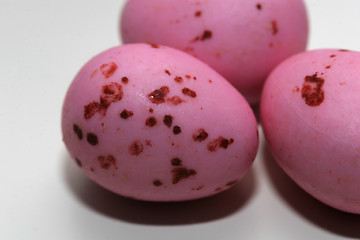 Image showing pink-eggs