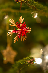 Image showing christmas tree ornaments