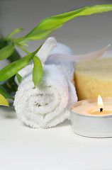 Image showing Spa relaxation