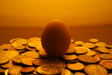 Image showing Egg surrounded by coins