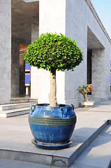 Image showing fancy shaped decorative tree 