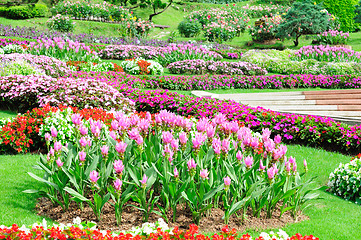 Image showing Mae Fah Luang Garden