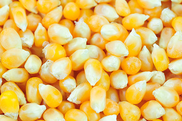 Image showing Corn seeds background 