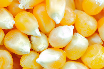 Image showing Corn seeds background 