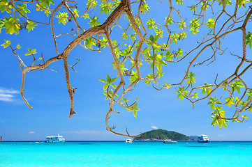 Image showing Similan Islands Paradise Bay, Thailand 