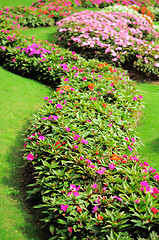 Image showing Mae Fah Luang Garden