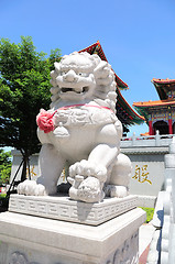 Image showing White lion statue decoration in front of temple