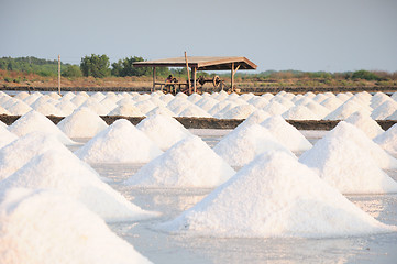 Image showing Salt fields 