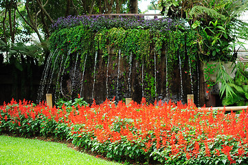 Image showing Mae Fah Luang Garden