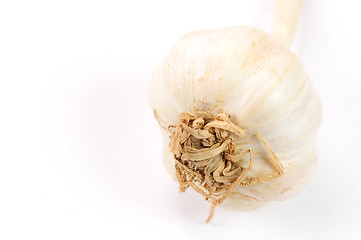 Image showing Garlic Isolated on white background 