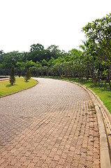 Image showing pathway to garden 