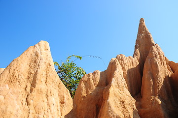 Image showing Soil columns within the national park of Thailand 