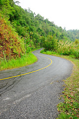 Image showing Forest road. Landscape. 