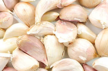 Image showing Garlic Isolated on white background 