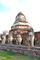Image showing Ruins lion statue in Ayutthaya Historical Park, Thailand 