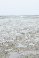 Image showing Cracked earth on the sea background. 