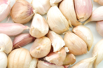 Image showing Garlic Isolated on white background 