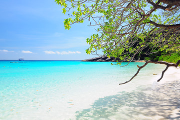 Image showing Similan Islands Paradise Bay, Thailand 