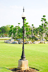 Image showing Black lamppost in a summer garden 