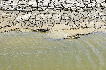 Image showing Cracked soil in water. 