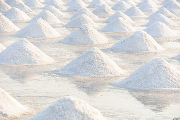 Image showing Salt fields 