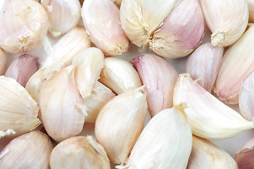 Image showing Garlic Isolated on white background 