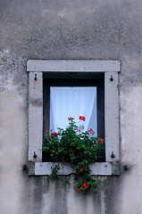 Image showing Window of Medieval Castle