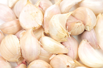 Image showing Garlic Isolated on white background 
