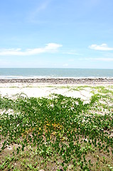 Image showing The beach , Huahin Thailand