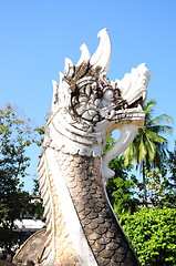Image showing White lion statue decoration in front of temple