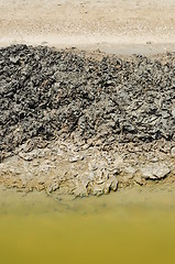 Image showing Cracked soil in water. 