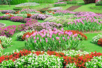 Image showing Mae Fah Luang Garden