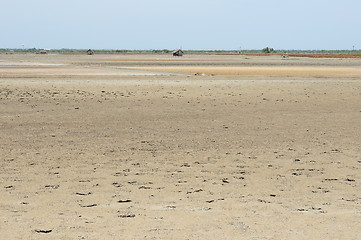 Image showing Cracked earth on the sea background. 