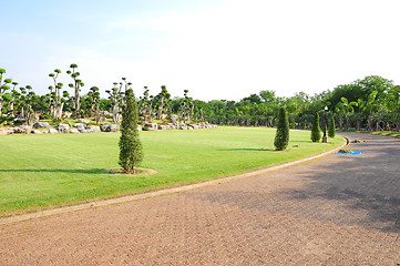 Image showing pathway to garden 