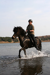 Image showing horsesplash