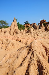 Image showing Soil columns within the national park of Thailand 