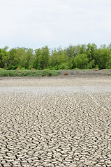 Image showing Dry soil in arid areas 