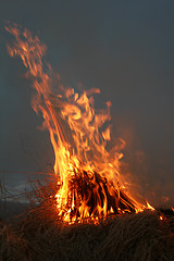 Image showing bushfire