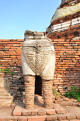 Image showing Ruins lion statue in Ayutthaya Historical Park, Thailand 