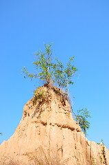 Image showing Soil columns within the national park of Thailand 