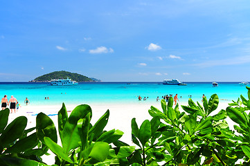 Image showing Similan Islands Paradise Bay, Thailand 