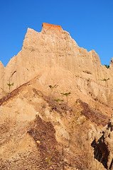 Image showing Soil columns within the national park of Thailand 