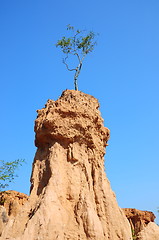 Image showing Soil columns within the national park of Thailand 