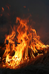 Image showing cracking_fire