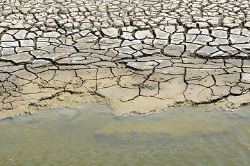 Image showing Cracked soil in water. 