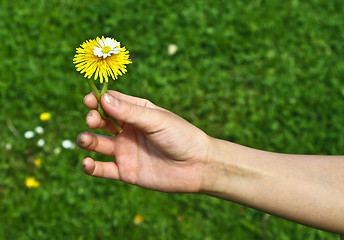 Image showing Flower girl