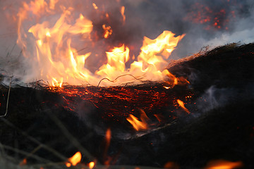 Image showing fire_embers