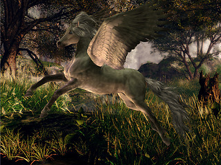 Image showing Forest Pegasus