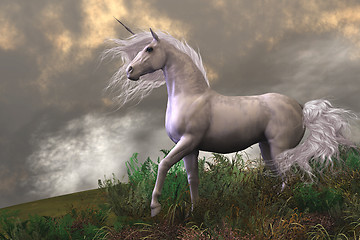 Image showing White Unicorn Stallion